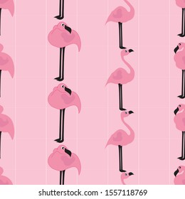 Pink flamingos seamless pattern. Can use for print, template, fabric, presentation, textile, banner, poster, wallpaper