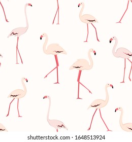 Pink flamingos seamless pattern. Standing posture. Zoo bird park. Vector design illustration.