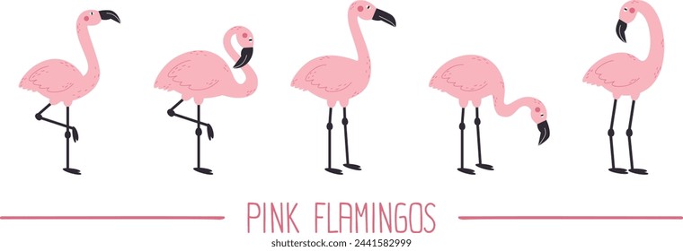 Pink flamingos set. Exotic birds isolated on white background.