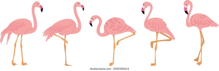 pink flamingos set on white background vector