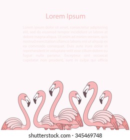 Pink flamingos standing. Cute vector template for your design. Greeting card, invitation, brochure or background with flamingo.