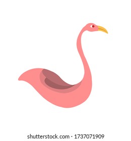 Pink Flamingos tropical exotic bird