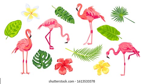 Pink flamingos, tropical leaves and flowers set. Vector illustration. Design elements isolated on white background.