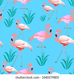 Pink flamingos. Tropical plants. Blue background. Seamless pattern. Can be used for fabrics, paper.