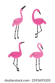 Pink flamingos in various poses collection. Beautiful exotic birds for postcard design, clothing and other.