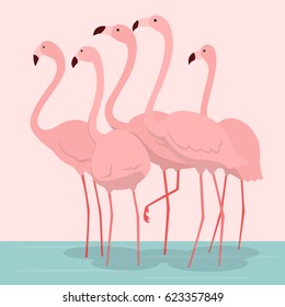 pink flamingos vector illustration