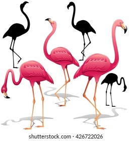 Pink Flamingos Vector illustration. Isolated Decorative design elements. Exotic Bird. Flamingo Shapes. 