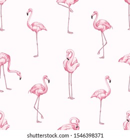 Pink flamingos vector seamless pattern. Beautiful tropical birds background. Bright zoo inhabitants texture. Exotic jungle fauna backdrop. Creative wallpaper, textile, wrapping paper design.