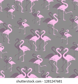 Pink flamingos. Zoo bird park. Seamless pattern. Overlap exotic wading birds.  Flamboyance flock on gray bird park. Walking flamingos. 