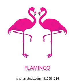 Pink flamingo.Vector illustration