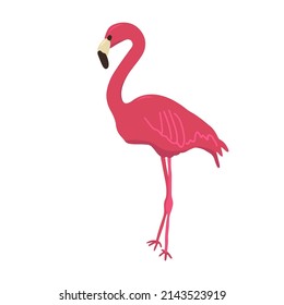 Pink flat flamingo isolated on white background