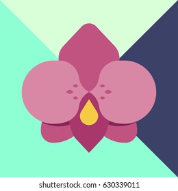 Pink flat flower with geometry modern fashion background, bright colours, beautiful orchid, beauty banner template, wax club icon, natural symbol, eco organic cosmetic, bio ecology image.