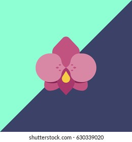 Pink flat flower with geometry modern fashion background, bright colours, beautiful orchid, beauty banner template, wax club icon, natural symbol, eco organic cosmetic, bio ecology image.