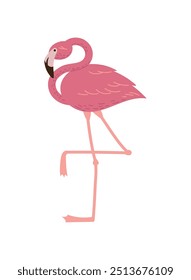 pink flemish bird wild character isolated