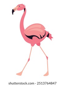 pink flemish bird wild character isolated