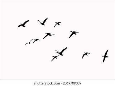 pink flock of bird vector art design hand drawn