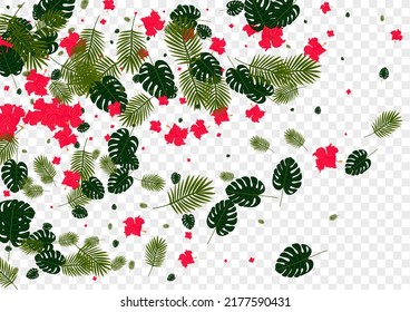 Pink Flora Background Transparent Vector. Leaf Artwork Pattern. Orange Foliage. Spring Illustration. Red Aloha Texture.