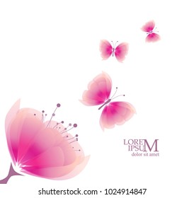Pink Floral background with butterflies. Vector