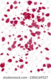 Fondo transparente del vector de desenfoque floral rosa. Fondo Primaveral Petal. Delicado marco japonés de flores. Diseño De Belleza Rosa Morada.