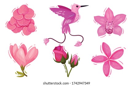 Pink Floral Decorative Collection with Lush Flower Buds and Bird Isolated on White Background Vector Set