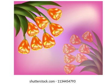 Pink floral delicate background with realistic tulips and inscription
