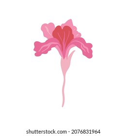 Pink floral elements. Flower and green leaves.Modern trendy Matisse minimal style.  Floral poster, invite. Vector arrangements for greeting card or invitation design