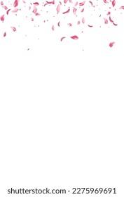 Pink Floral Fall Vector White Background. Beauty Rose Design. Red Peach Flying Backdrop. Delicate Flower Summer Cover.
