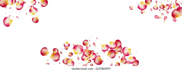 Vector De Volante Floral Rosa Fondo Panorámico Blanco. Cartel de la caída de Petal. Patrón de Japón Rosa Roja. Delicado Cartel De Licitación De Cubitos.