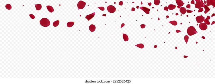 Pink Floral Japanese Vector Panoramic Transparent Background. Summer Cherry Wallpaper. Beautiful Petal Falling Illustration. Red Flower Blur Texture.