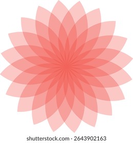 Pink floral mandala design, intricate and detailed abstract art.