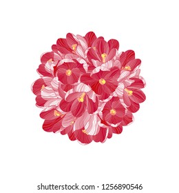 Pink floral pattern. Crocus flower, spring blossom.