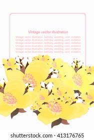 Pink floral pattern with jasmine for a card vector illustration