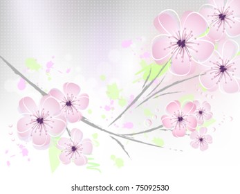 Pink floral spring background - cherry blossom, flower design - style with grey to white gradient -