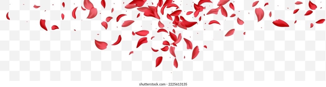 Pink Floral Tender Vector Transparent Panoramic Background. Blur Petal Banner. Delicate Cherry Japan Texture. Beautiful Rose Japanese Frame.