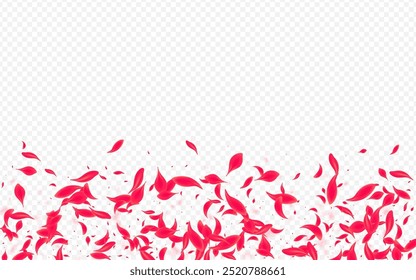 Fundo transparente do vetor floral rosa. Textura de cerejeira japonesa. Delicado quadro voador do Lotus. Bela Bandeira da Flor de primavera.