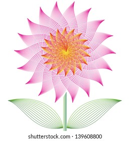 Pink flower