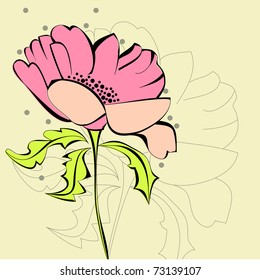 Pink flower