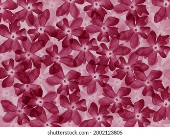 pink flower background summer vibes