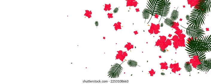 Pink Flower Background White Vector. Foliage Botany Design. Orange Monstera. Painting Frame. Yellow Tropical Backdrop.