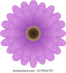 A Pink Flower Based On The Zinnia (not Completely Accurate). Vector.