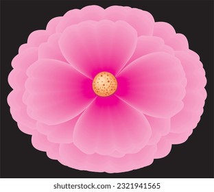 rosafarbene Blume, schwarzer Hintergrund
