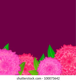 Pink flower with blank space on dark background. Vector