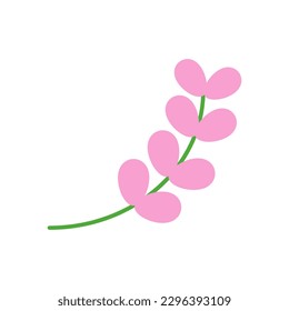 Pink flower blooming on the branch in spring and summer on white background. (seasonal, park, garden, plant, floral, blooming in spring, summer, outdoors)