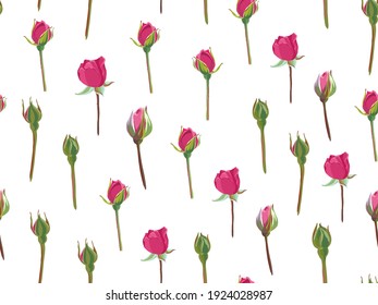 Flor rosa en flor, rosas florecientes en filas. Decoración o presente para las vacaciones. Florecimiento de primavera o verano de la planta botánica. Fondo o impresión elegante. Patrón sin soldadura, vector en estilo plano