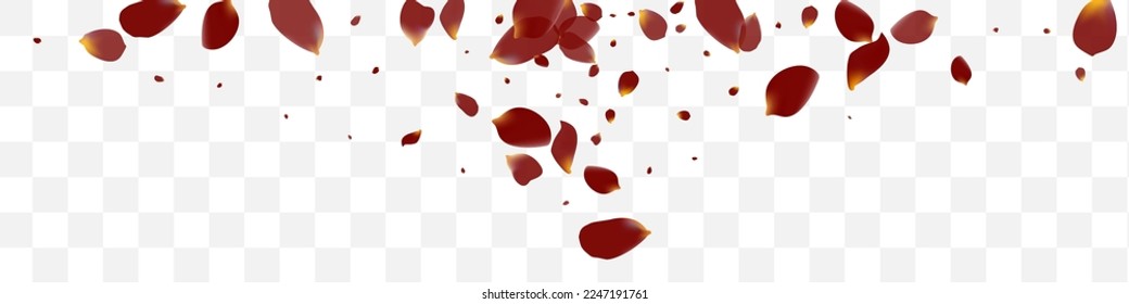 Pink Flower Blur Vector Transparent Panoramic Background. Tender Blossom Banner. Burgundy Rose Fall Template. Delicate Lotus Flying Frame.