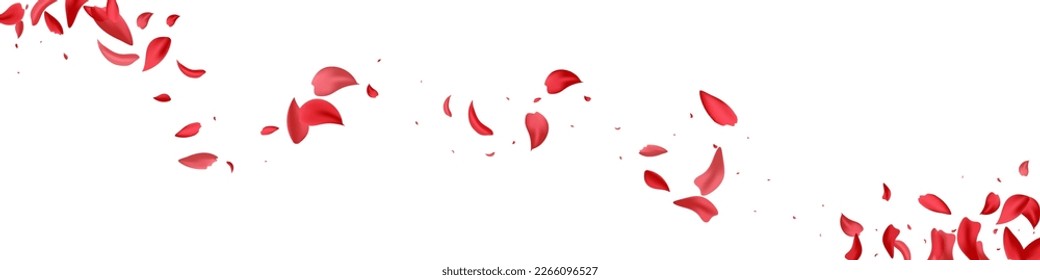 Fondo Panorámico Blanco Del Vector De Burbujas De Flor Rosa. Cartel de la caída de Petal. Textura de la mosca roja de la flor. Hermosa plantilla de Sakura Japón.