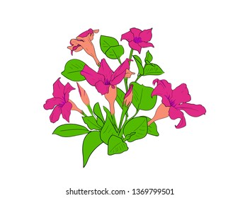 Pink flower bouquet. Floral isolated element. Floristics decor