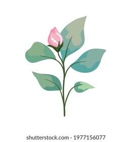 pink flower bud with leaves