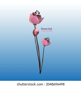 Flores rosadas. Flores en vector. peonías rosadas sobre fondo azul. Flores hermosas jóvenes