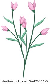 Pink Flower Bush, Fresh and beautiful